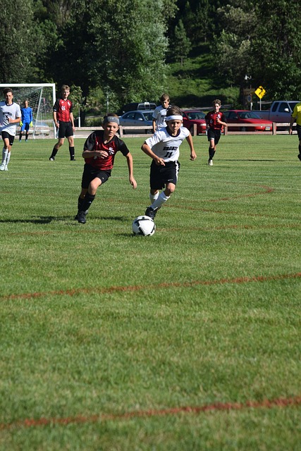 者均占据上 者均占据上