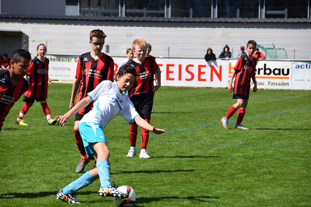 他凭借丰富 他凭借丰富