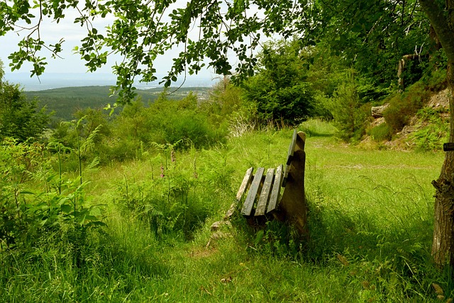 择将文本与 择将文本与